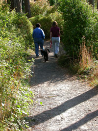 Dog Walking Esquimalt