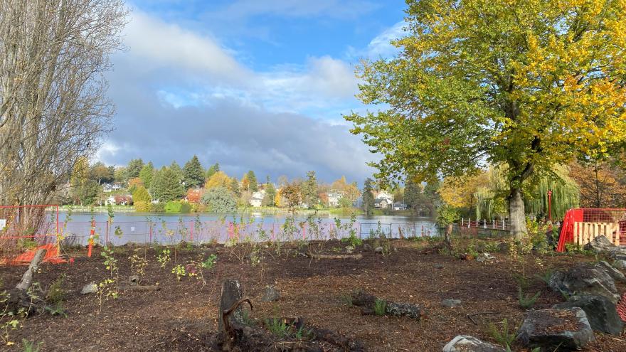 view of young native plans in fresh soil in foreground, Gorge Waterway in background all on a sunny day